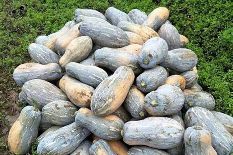 倪海厦紫斗数命宫身宫和各星的排例方法
