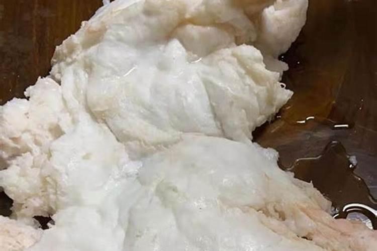 太岁的功效和作用太岁的功效和作用是什么