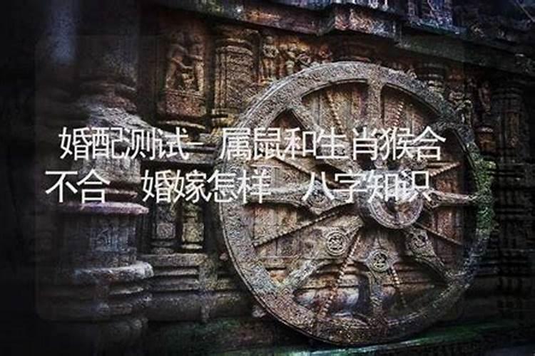 农历十月初一生的人有什么说法