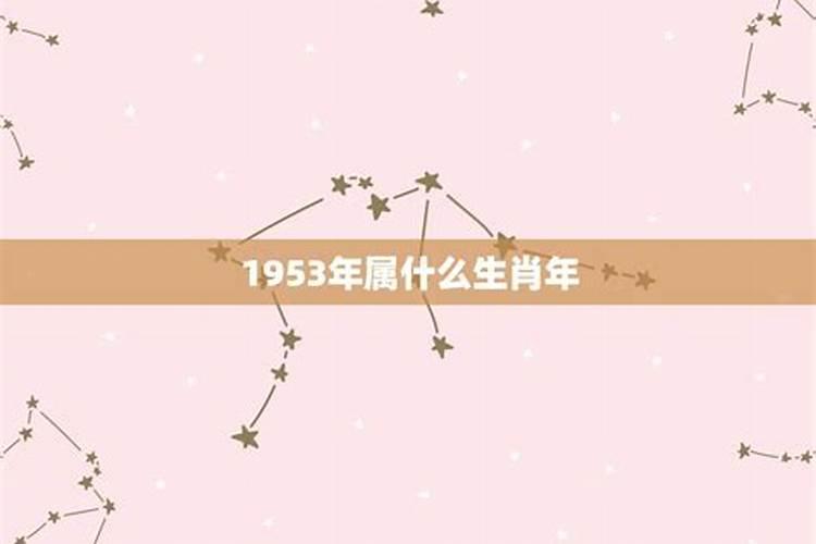 我是九九年腊月十九生的,什么星座？