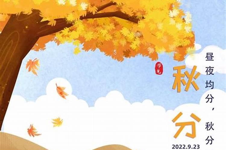 秋分不养,一年白忙!头要凉、脚要暖、肚子不要满,人才更舒畅