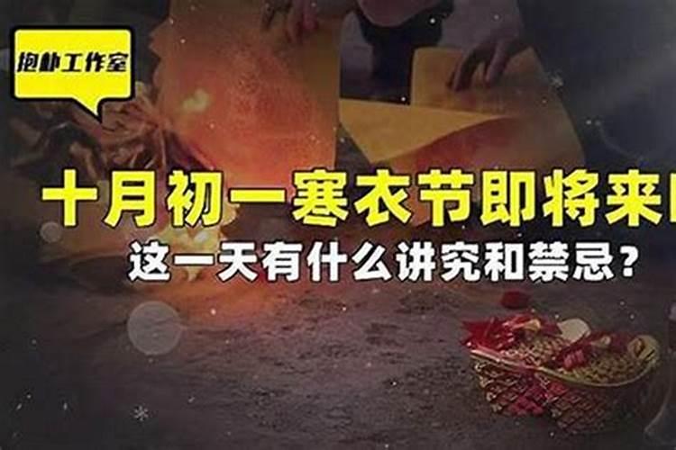 属猴2025运势及运程详解 属猴人2025年每月运势