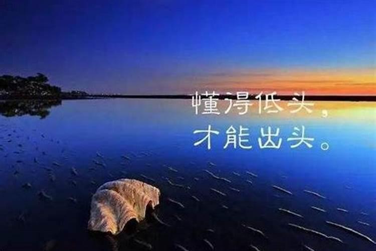 属牛的人今天工作顺不顺利,属牛的人今年是不是财运不好