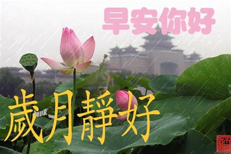 梦见爸爸拿刀砍我