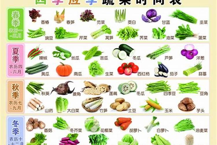 属马人2025年全年运势运程