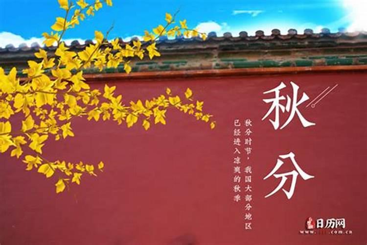 2025年犯太岁最严重生肖,2025年犯太岁最凶的四大生肖