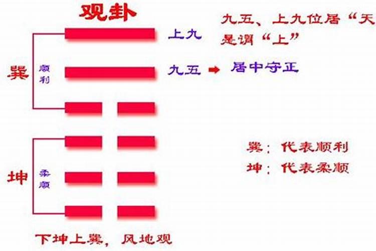 2月初2龙抬头出生女孩属虎 灵胎降生衣禄增荣？