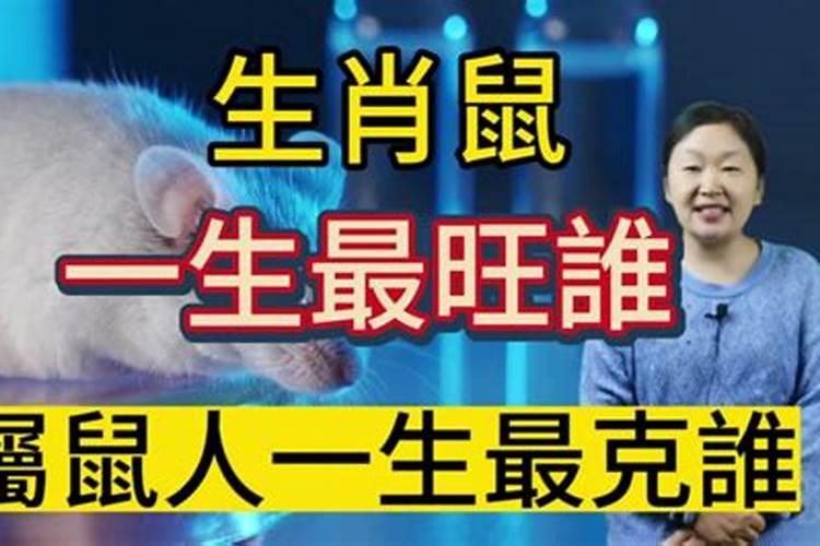 属鼠人一生的命运怎么样？