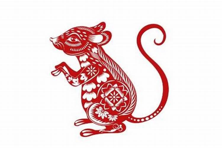 一九七二年属鼠男今年运气与婚姻