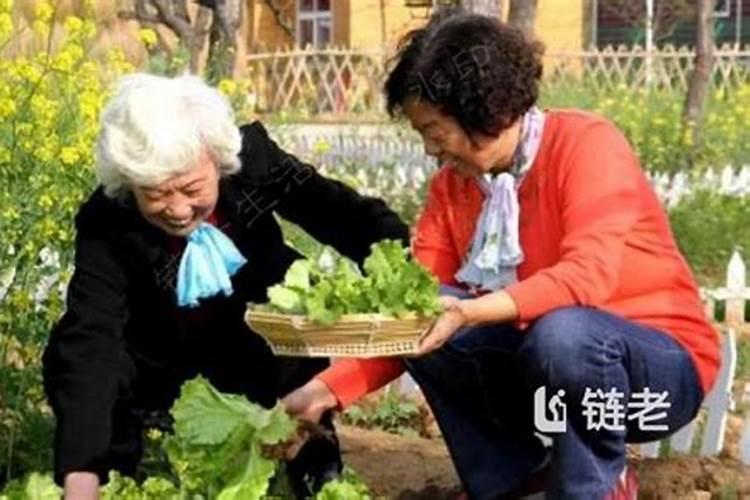 乾山巽向兼戌辰风水名地