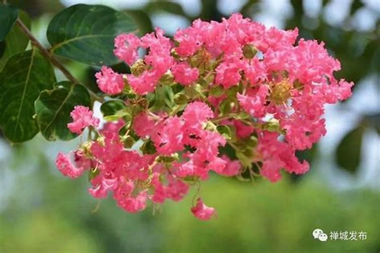 重阳节别称20个