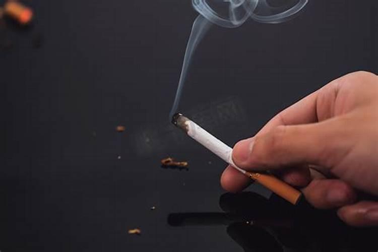 第一大富贵的生肖 富豪最多的属相？