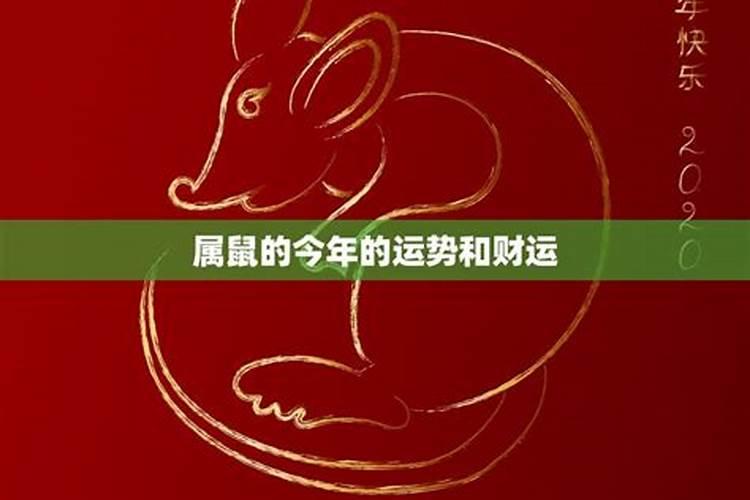 2024属鼠今年运气怎么样