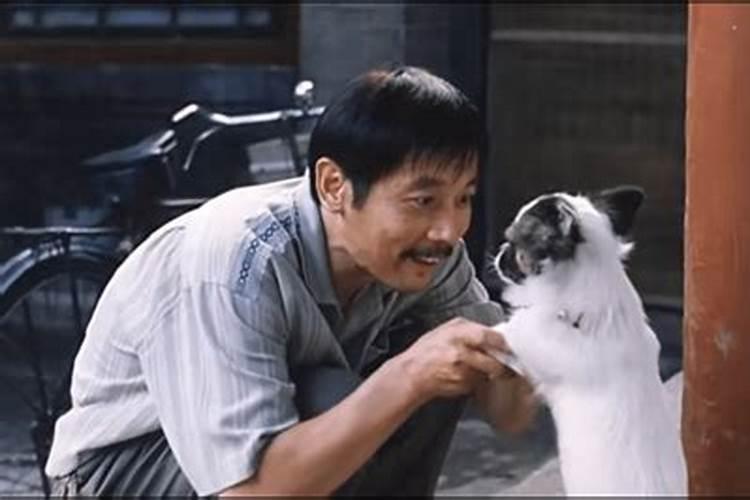 梦见妈妈给钱买手机的预兆