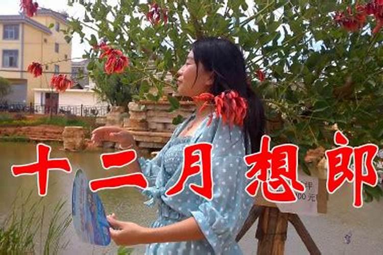 腊八节吃什么传统美食(腊八节别忘了吃这3道菜)