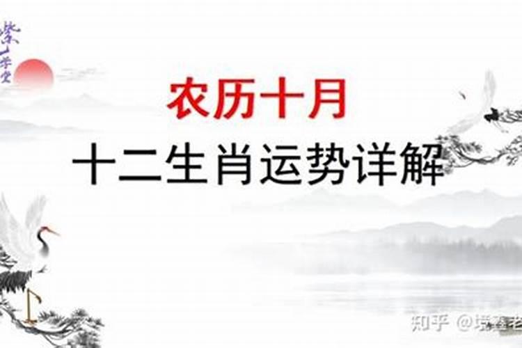 元宵传统民俗活动有哪些