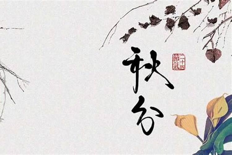秋分有什么风俗
