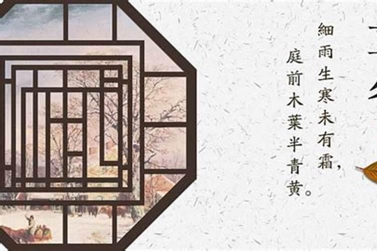 属马人2025年全年运势运程
