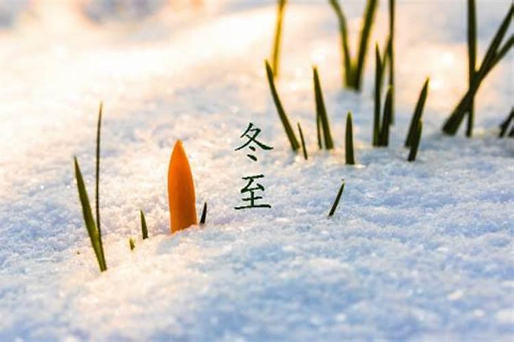 梦见小男孩拉屎在我身上,我用水冲洗了