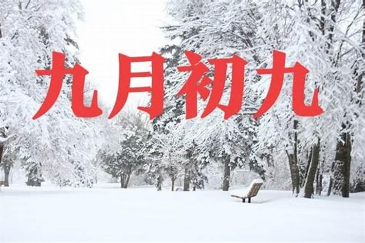 “岁岁重阳 ,今又重阳”的全诗赏析及作者出处？