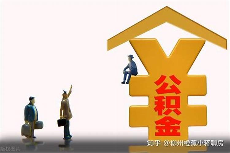 属马人出生月的命运(属马人逐月出生运程)
