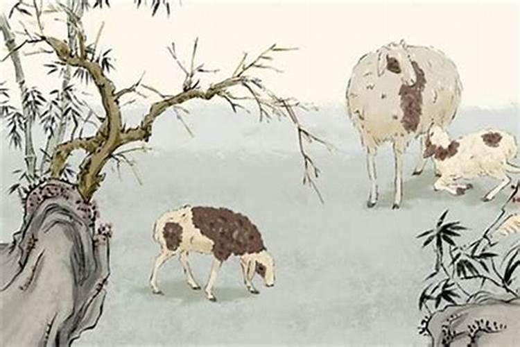 如果八字不合怎么办