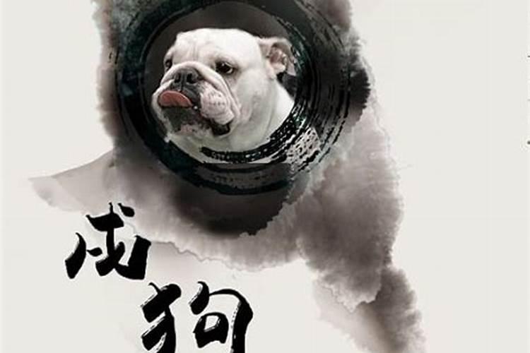 属狗年七月份出生的人运势