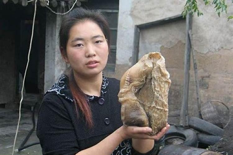 太岁到底是什么生物