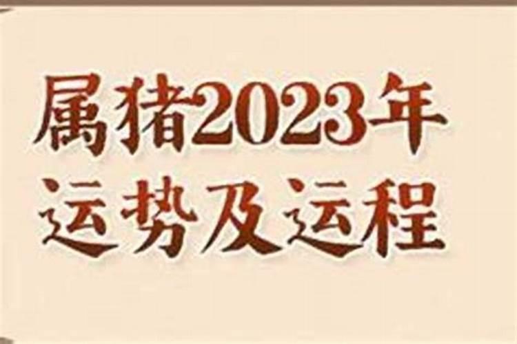1995年属猪女2025年的运势和婚姻
