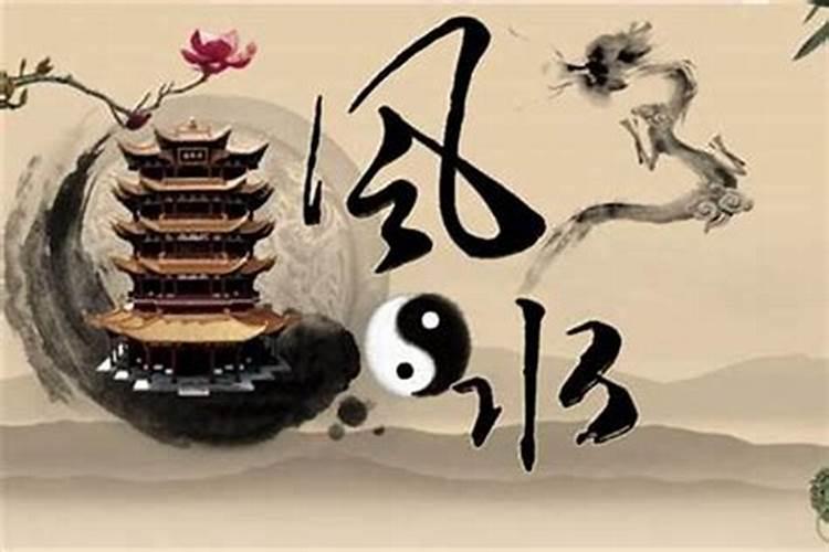 梦见家里养很多猫的预兆
