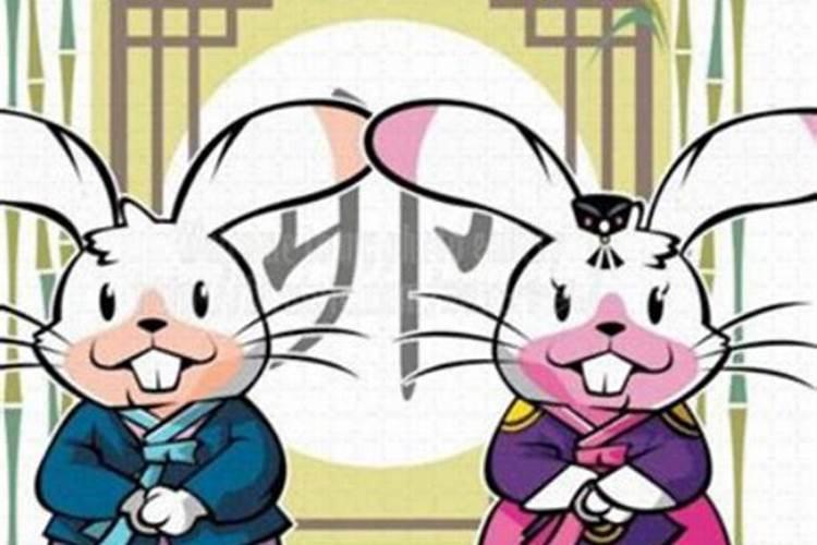 属兔和属猴的婚姻怎么样？八字合不合
