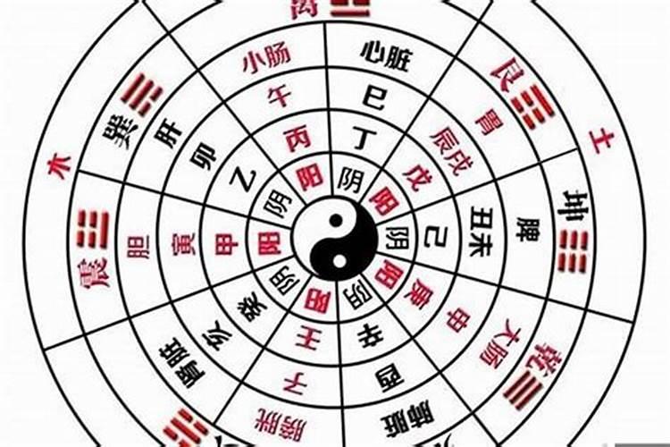 怎么看生辰八字是阴是阳？