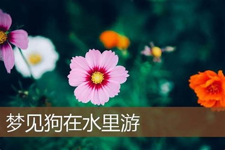 梦见多年不见女同学的预兆