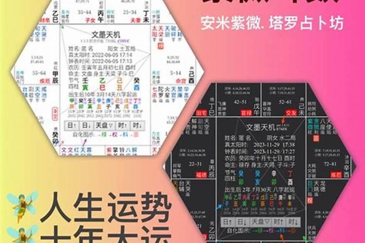 生肖属猪逐年运势