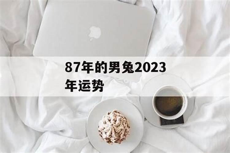 1987年属兔2025年的运势及运程如何