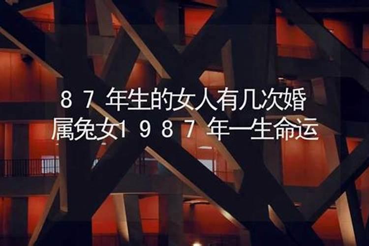 87年属兔男2025年运势