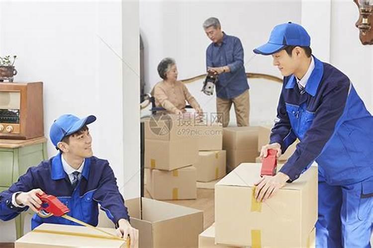 男生蛇配什么属相最好