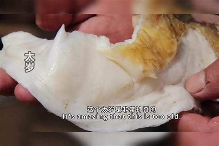 太岁到底是一种什么东西？世界上真的存在吗？