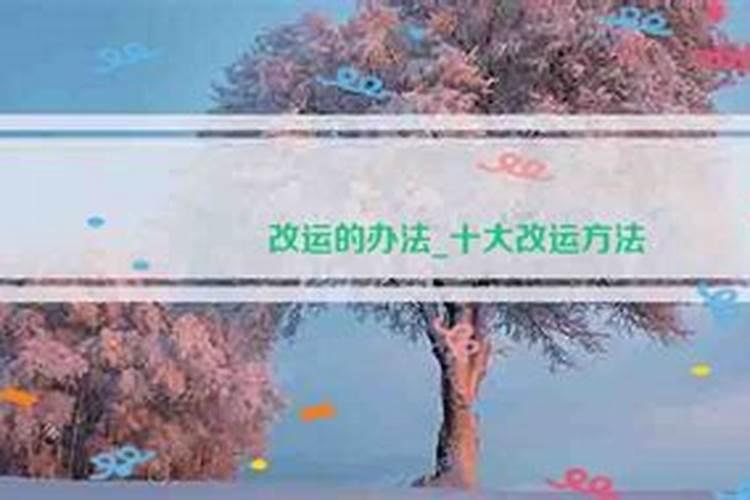 2025必暴富的四大生肖