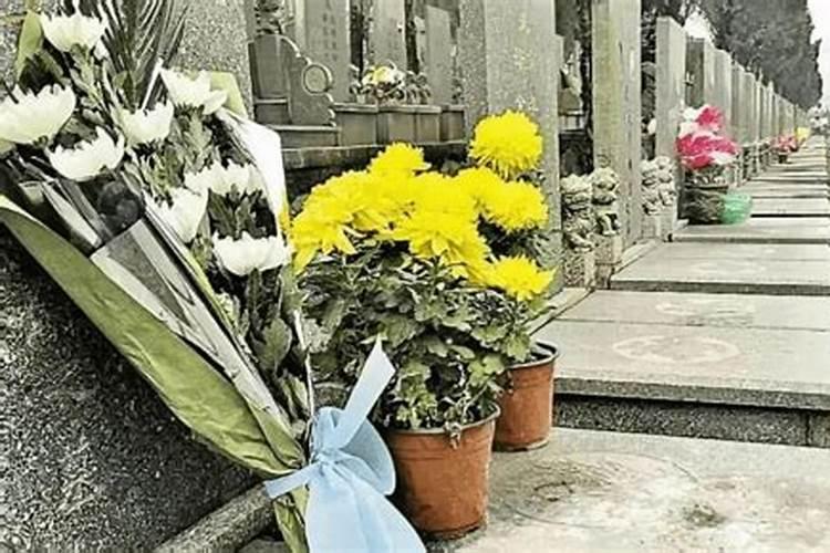 梦见死老鼠是什么预兆 女性