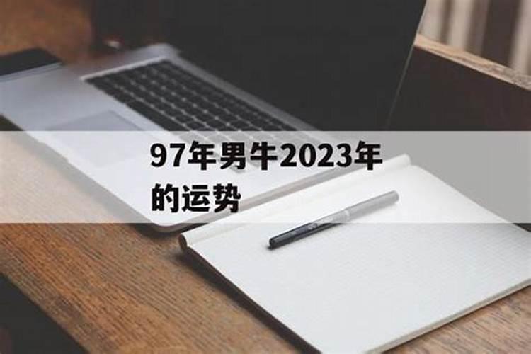 属狗女人最佳丈夫