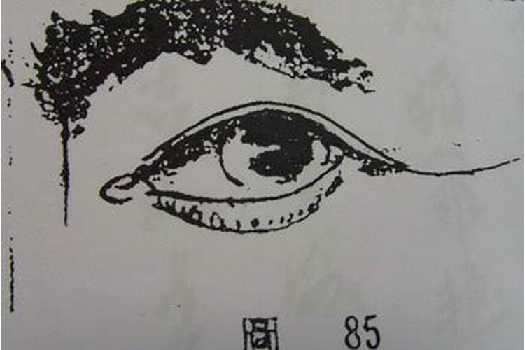 梦见被孤立排挤说明什么