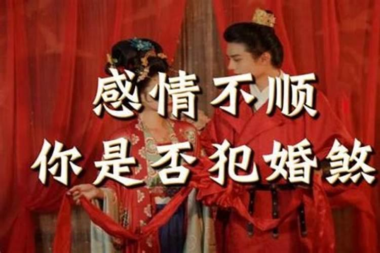 星座是按农历还是公历分的？我是农历九四年八月十五那我是什么座的？