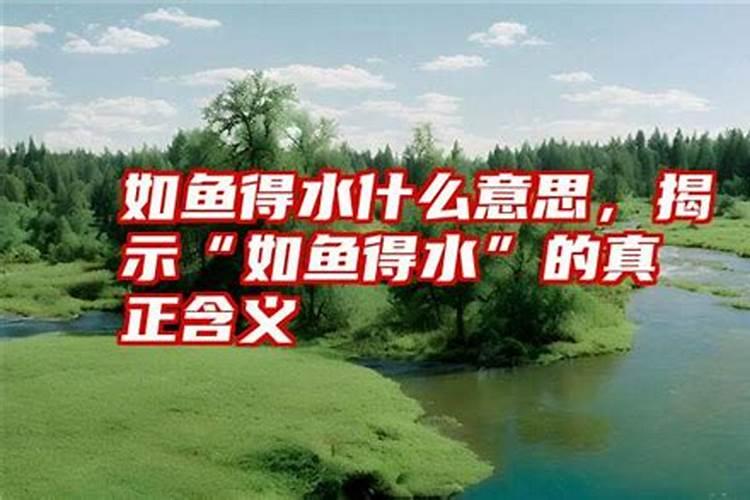 壬子日柱人的命运解析