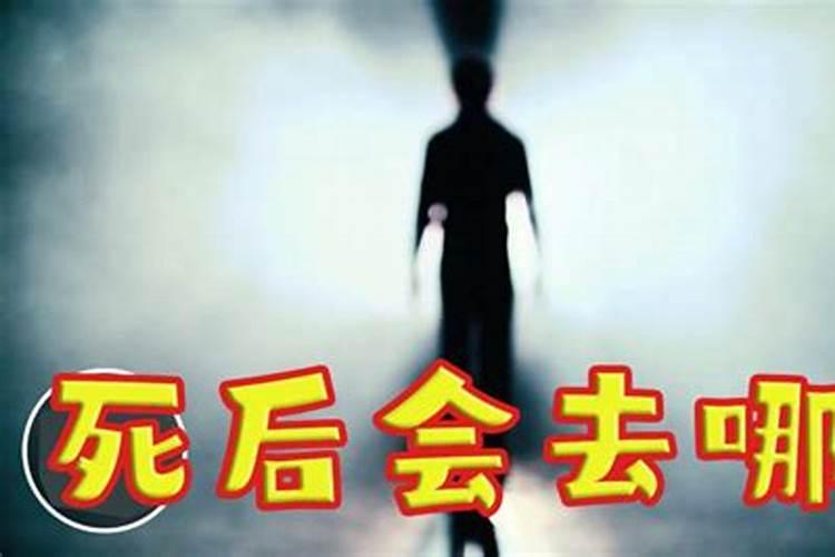 我儿子三岁多往生了,还能投胎回来吗？