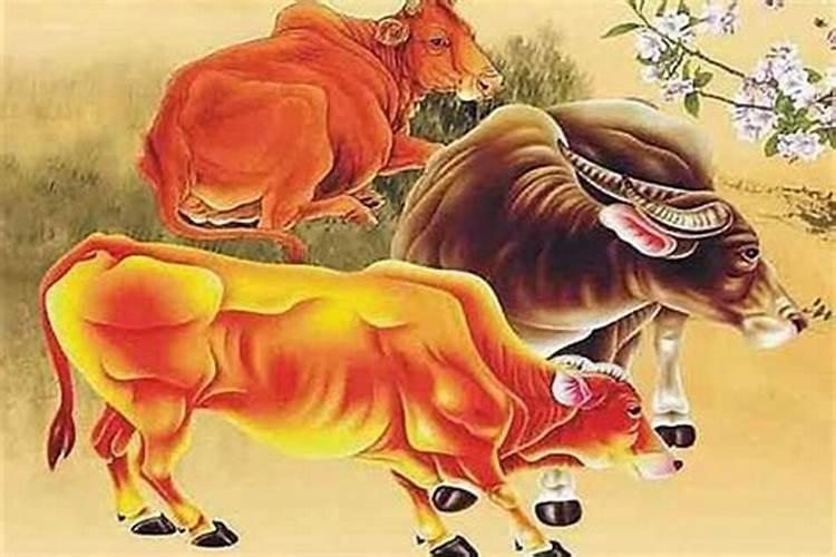 生辰八字怎么查 快速对照查出个人生辰八字？