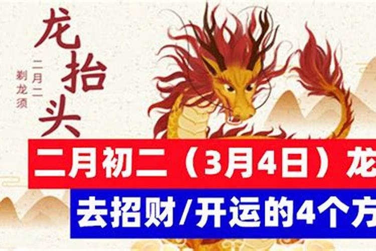 腊月适合种什么菜