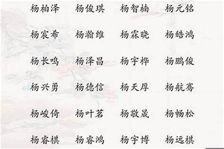 男孩,姓杨,最好的带硕字。取什么名字《小孩子的小名叫杨硕》