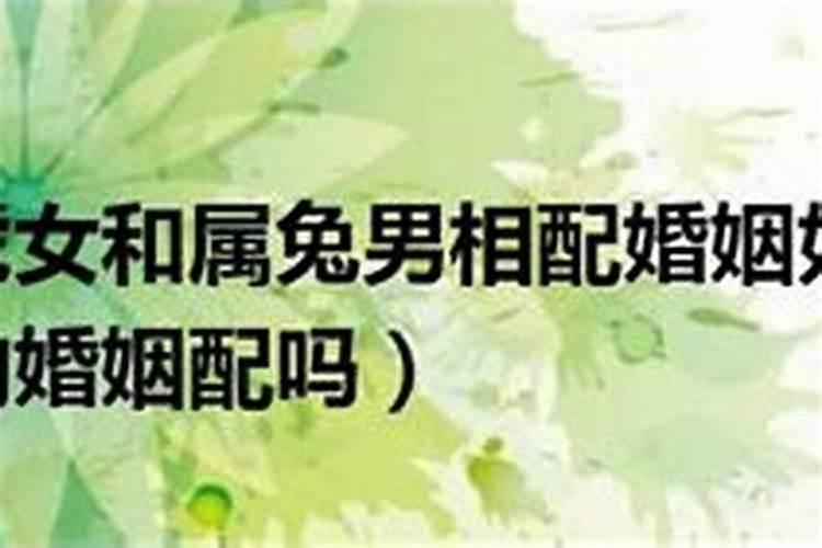 2025年出生是什么命