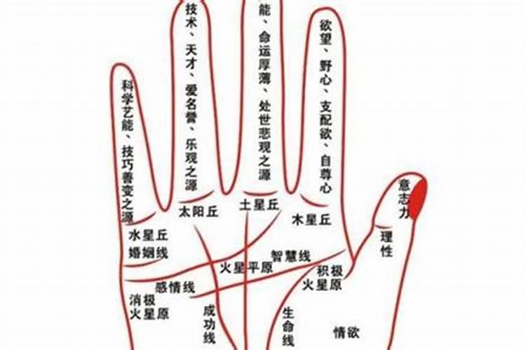 从佛学角度来讲,欠下债务是因为上辈子什么原因造成的？